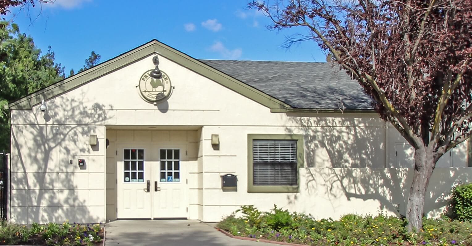 primrose school of pleasanton